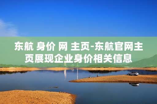 东航 身价 网 主页-东航官网主页展现企业身价相关信息