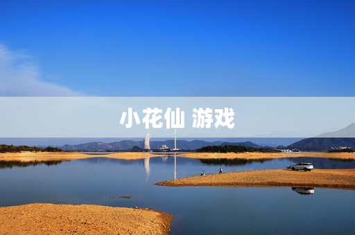 小花仙 游戏