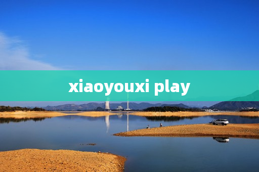 xiaoyouxi play