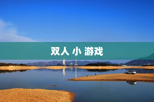 双人 小 游戏
