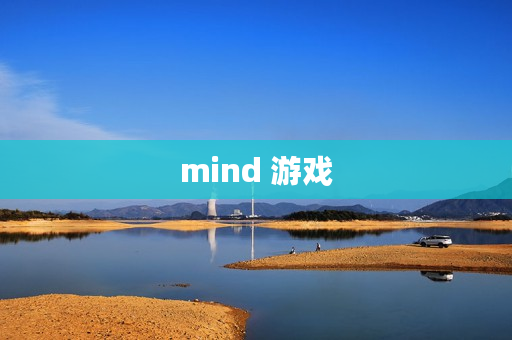 mind 游戏