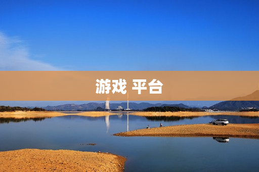 游戏 平台