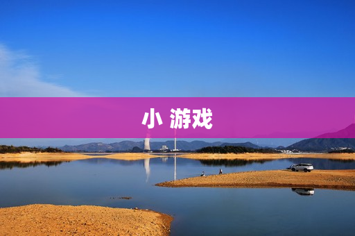 小 游戏