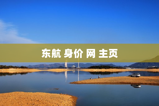东航 身价 网 主页