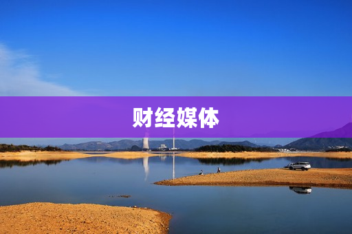 财经媒体