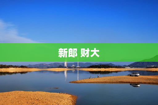 新郎 财大
