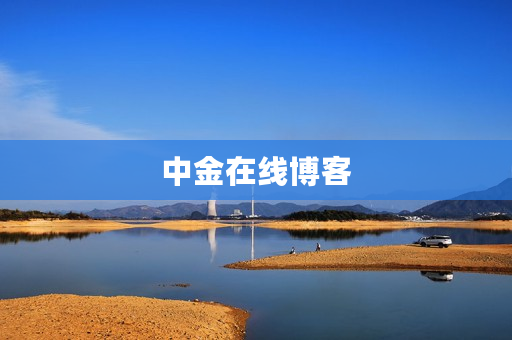 中金在线博客