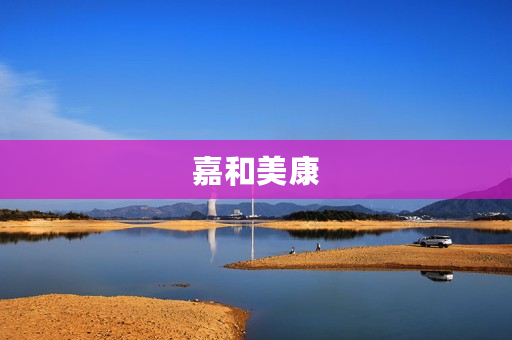 嘉和美康