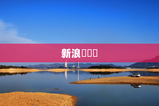 新浪財經網