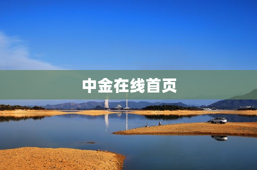 中金在线首页