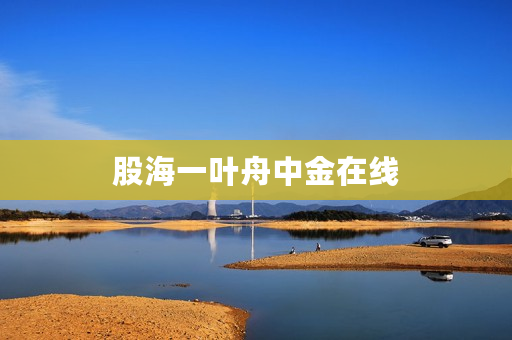 股海一叶舟中金在线