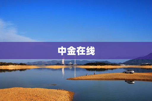 中金在线