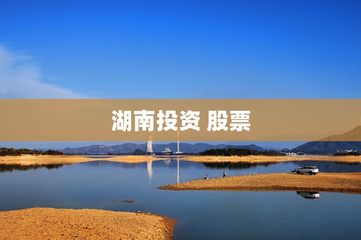湖南投资 股票