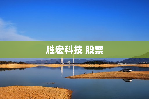 胜宏科技 股票