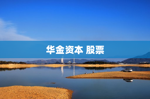 华金资本 股票