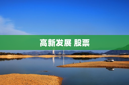 高新发展 股票