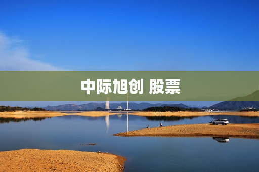 中际旭创 股票