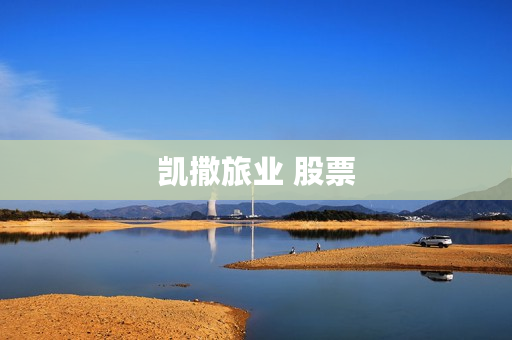 凯撒旅业 股票