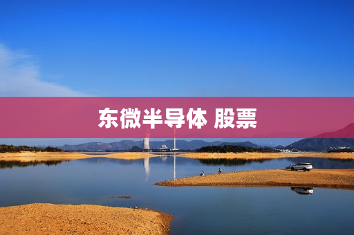 东微半导体 股票