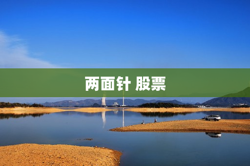 两面针 股票