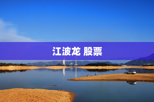 江波龙 股票