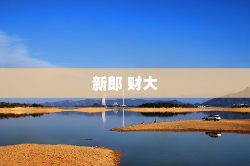 新郎 财大