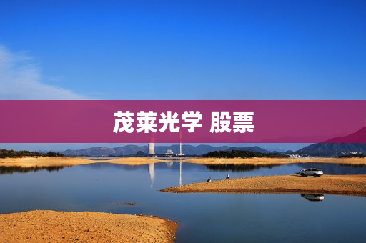 茂莱光学 股票