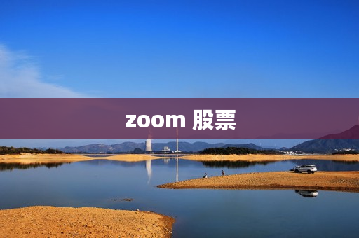 zoom 股票