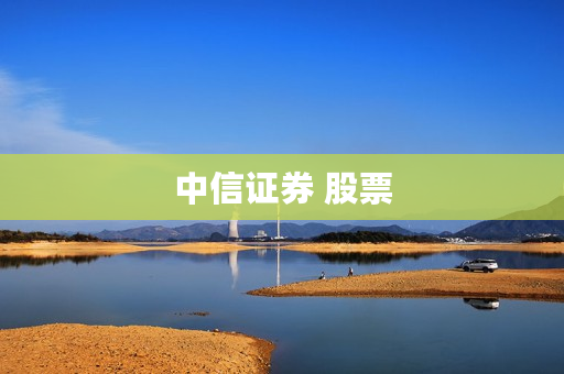 中信证券 股票