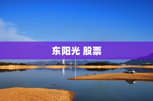 东阳光 股票