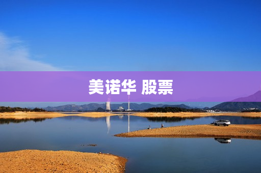 美诺华 股票