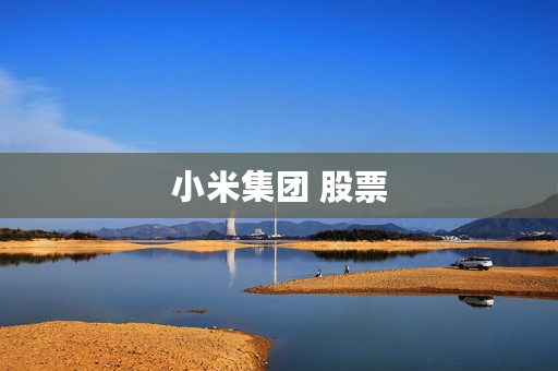 小米集团 股票