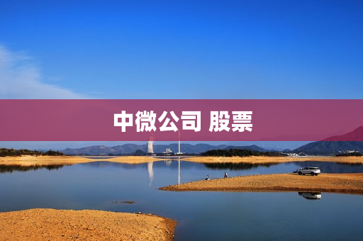 中微公司 股票