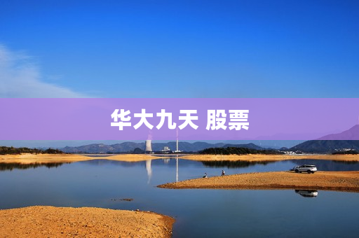 华大九天 股票