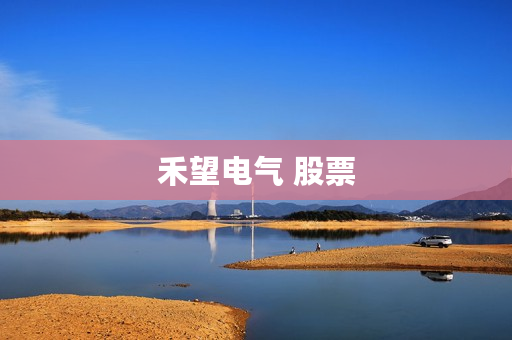 禾望电气 股票