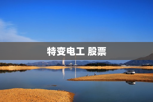 特变电工 股票