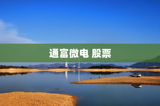 通富微电 股票