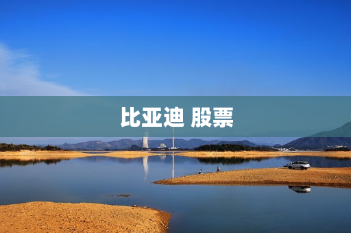 比亚迪 股票 比亚迪 股票