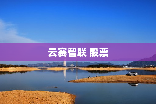 云赛智联 股票 云赛智联 股票