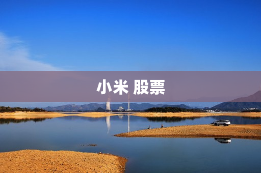 小米 股票