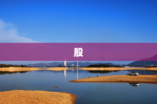 股