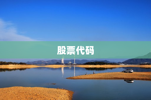 股票代码