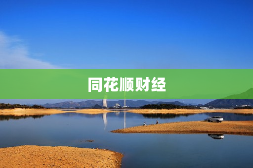 同花顺财经 同花顺财经