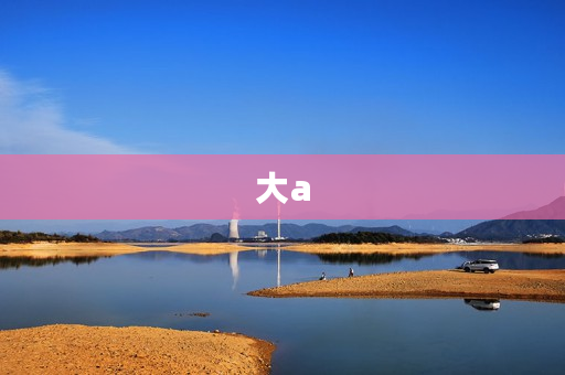 大a 大a