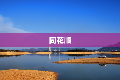同花顺 同花顺