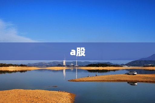 a股 a股
