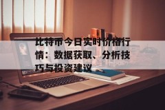 比特币今日实时价格行情：数据获取、分析技巧与投资建议