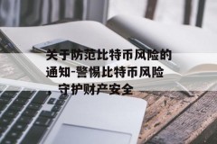 关于防范比特币风险的通知-警惕比特币风险，守护财产安全