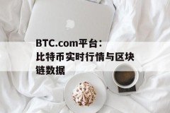 BTC.com平台：比特币实时行情与区块链数据