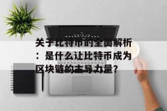 关于比特币的全面解析：是什么让比特币成为区块链的主导力量？